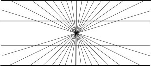 curvedlines