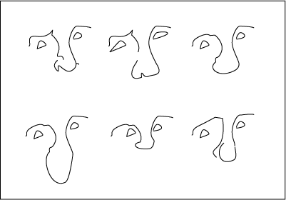 Variations makes faces unique